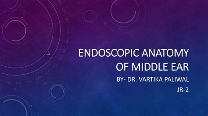2nd Annual Endoscopic Middle Ear Surgery Dissection Course