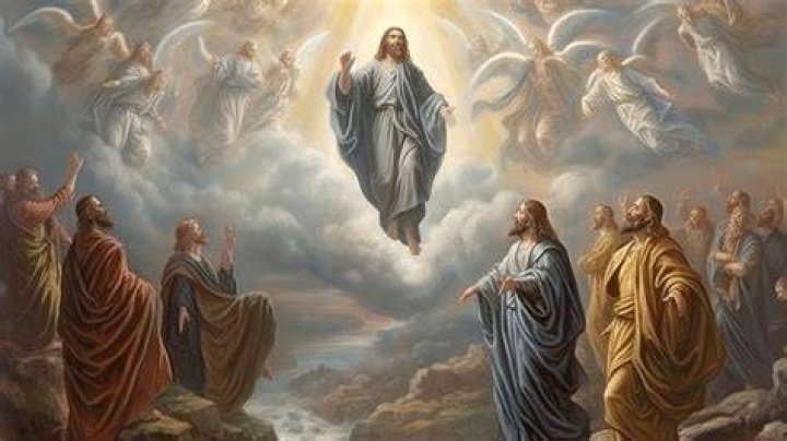 Ascension Providence/MSUCHM