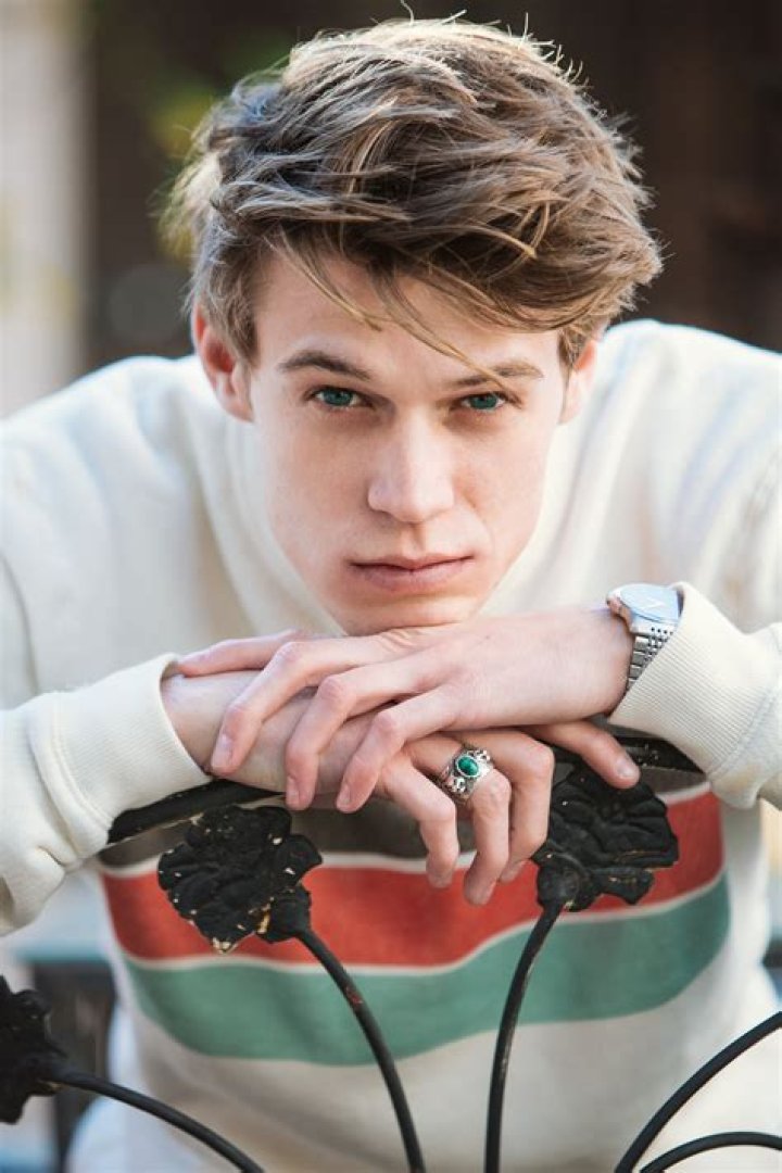Colin Ford girlfriend: Does Colin Ford have a girlfriend? 1 Colin Ford