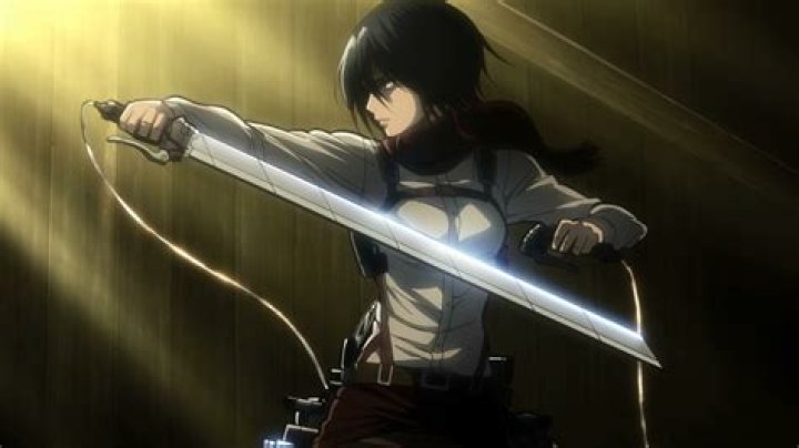 Mikasa Attack on Titan