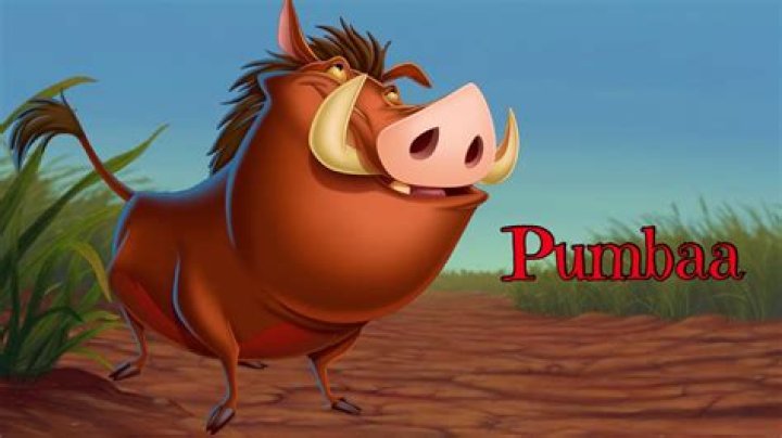 What does Pumbaa mean in English?